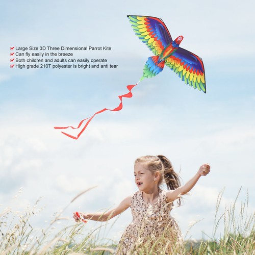 Large kite for kids - 3d,