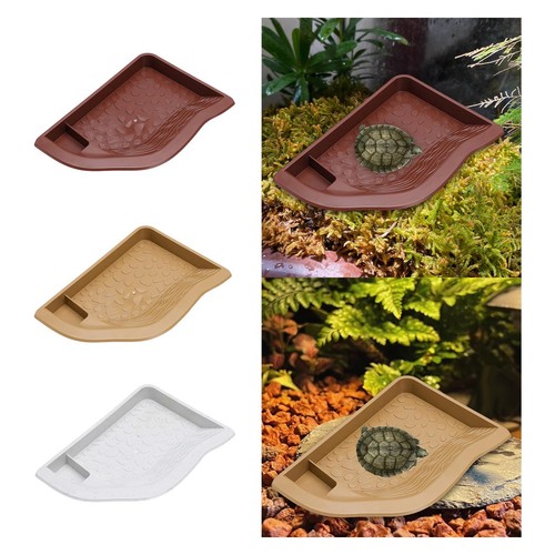 Tortoise water bowl fish tank - tortoise,