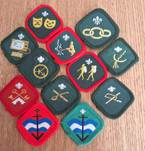 Boy scout proficiency - boy,