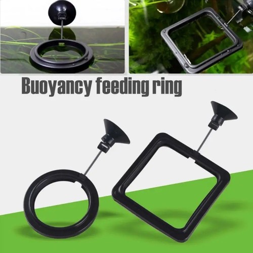 Fish feeding ring with - fish, suction
