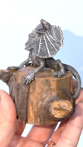 Vintage frilled lizard - frilled,