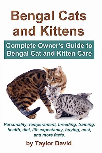 Bengal cats and kittens - and,