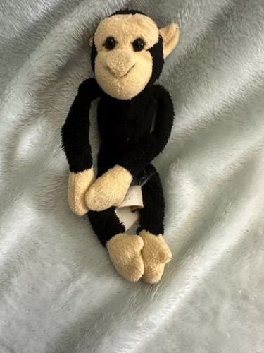 Wild republic small chimpanzee