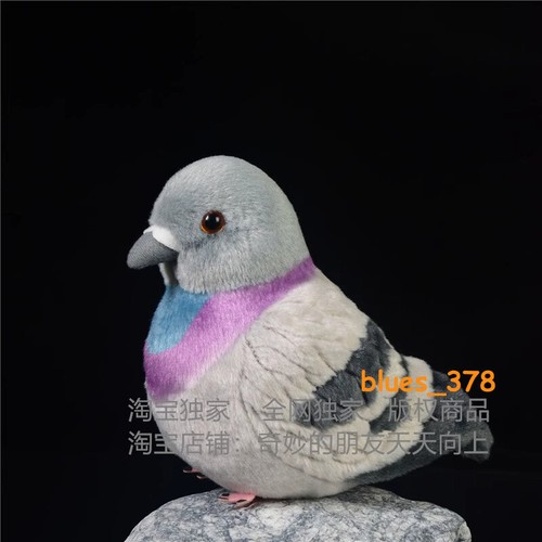 Cute pigeon plush - cute, carrier