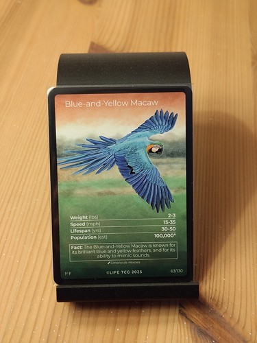 Life tcg 1st edition - tcg,