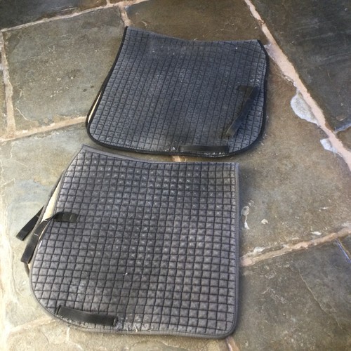 Saddle pads numnahs - saddle-pads,