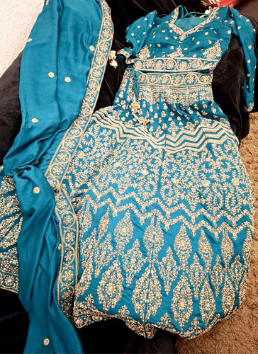 Women blue embroidered - women's,