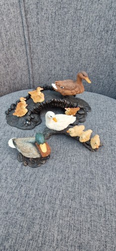 Collection bowbrook studio - bowbrook,