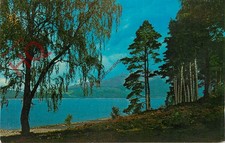 Picture Postcard::Loch Rannoch