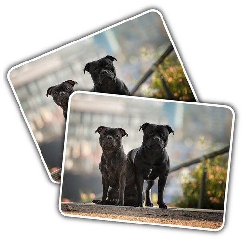 Vinyl sticker staffordshire - 2x,