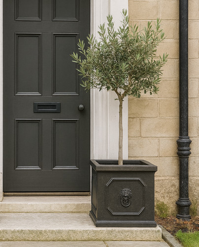 45cm lionhead box planter - lionhead, -planter