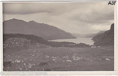 Loch maree wester - ross,