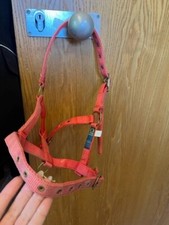 Red foal headcollar [AC]VC1527