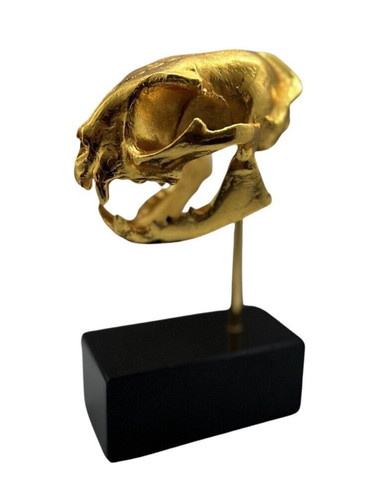 Gold cat skull - , on