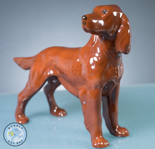 Irish red setter - red, dog