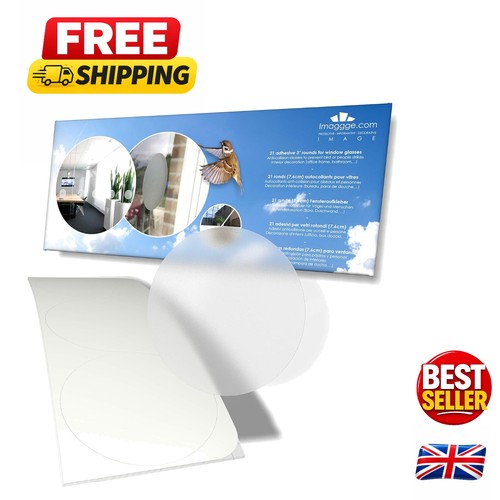 Translucent frosted - translucent,
