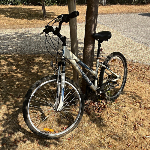 Orbea mountain bike in - orbea,