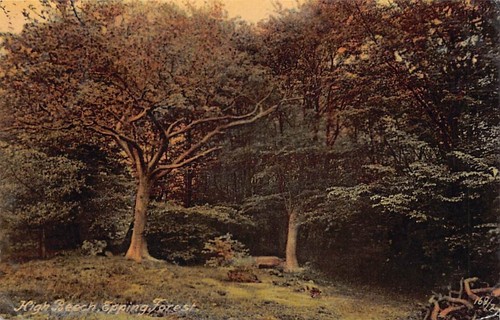 Family history postcard - family,