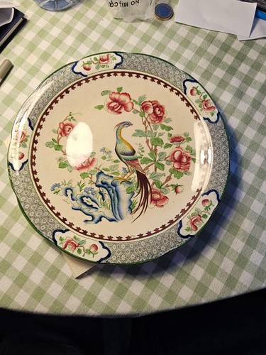 Antique chinese pheasant - antique,