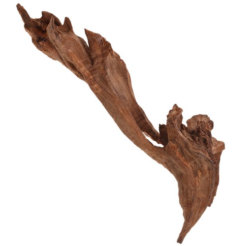 Landscape decor natural - landscape,
