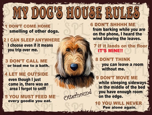 Otterhound dog house - otterhound,