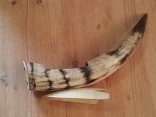 Large Vintage Cow Bull Horn