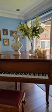Daneman Baby Gran Piano
