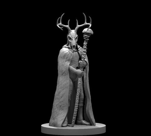 Human male druid sorcerer - human, v5