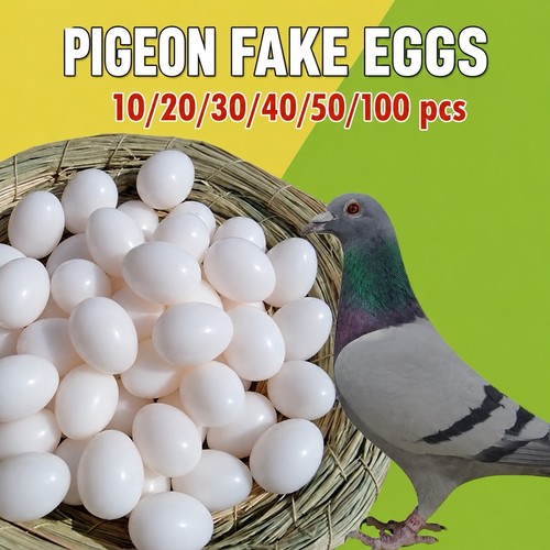 White solid plastic eggs dummy - solid,