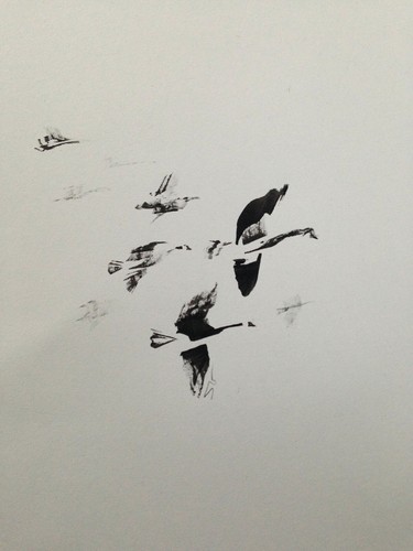 Original signed ink - ink, sketch