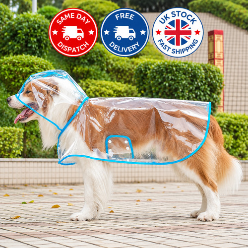 Dog rain jacket transparent - dog,