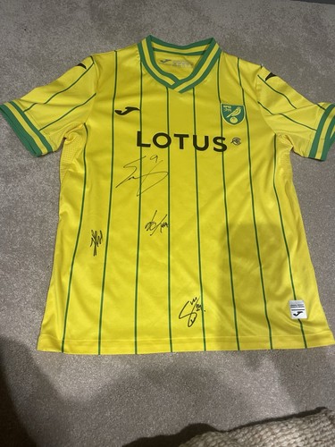 Signed norwich city shirt - norwich,