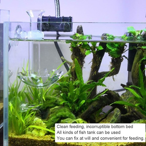 Shrimp feeder tube - feeder, aquarium