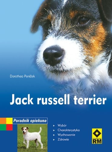 Jack russell terrier - jack,