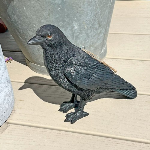 Crow bird garden ornament - garden,