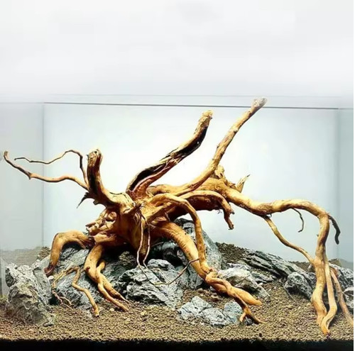 Natural aquarium driftwood - aquarium,