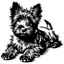Cairn Terrier Dog  Custom
