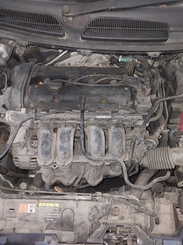 Engine ford fiesta mk7 - engine, (b299)