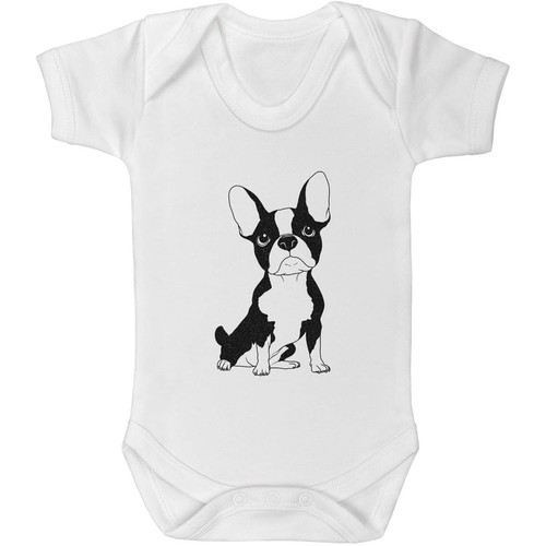 Sitting french bulldog baby - 'sitting,
