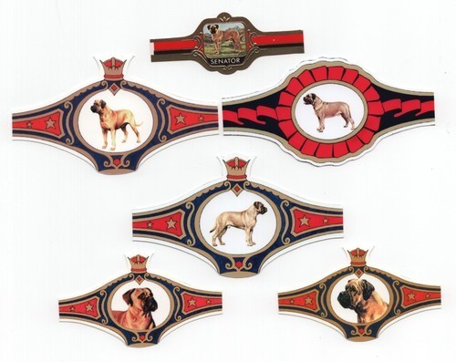 Bullmastiff collection dog - bullmastiff,