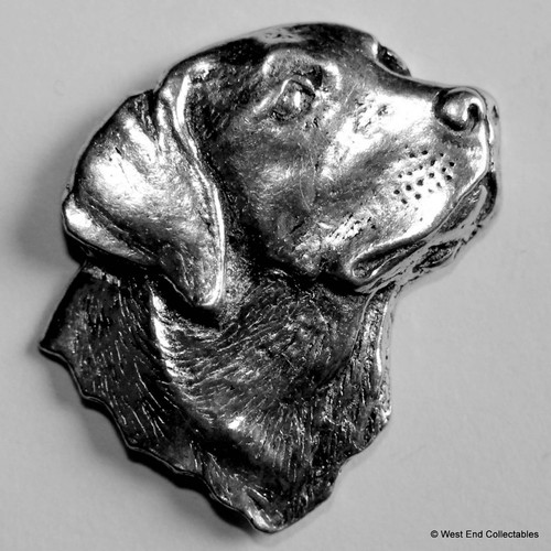 Labrador retriever head - labrador,