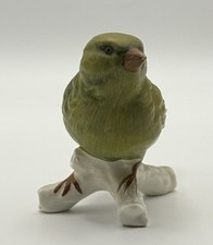 Goebel Green Finch Bird