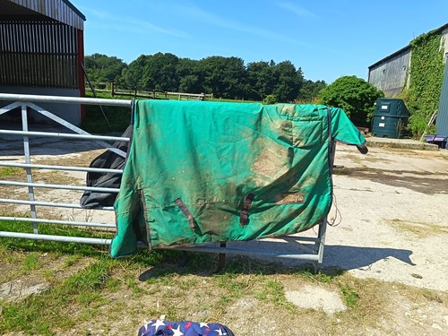 Eurostyle turnout rug - eurostyle,