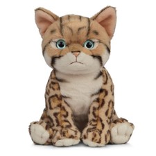 Living Nature Bengal Kitten