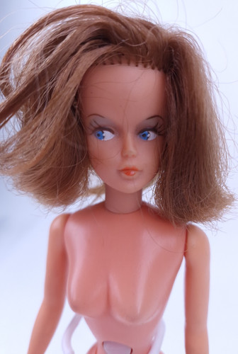 Tressy doll brown hair - tressy,