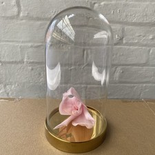 IKEA Begavning Glass Cloche