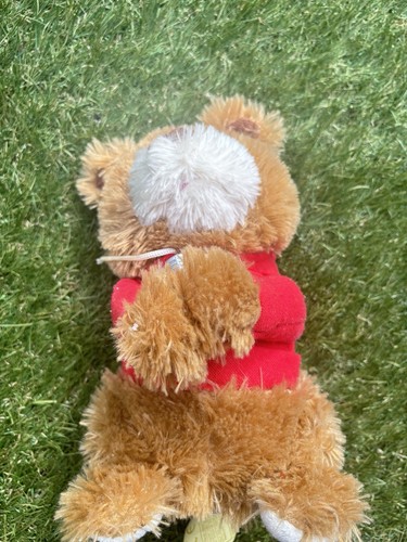 Brown teddy bear soft toy - brown,