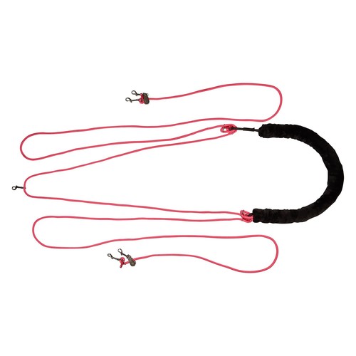 Lunging training aid - lunging,