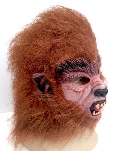Teen wolf brown - teen, werewolf