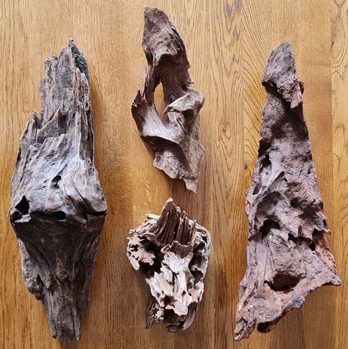 Reptile driftwood for - reptile,